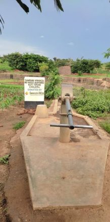 Water is Life – Another borehole to Gongweya from Sunseed Oil Limited.